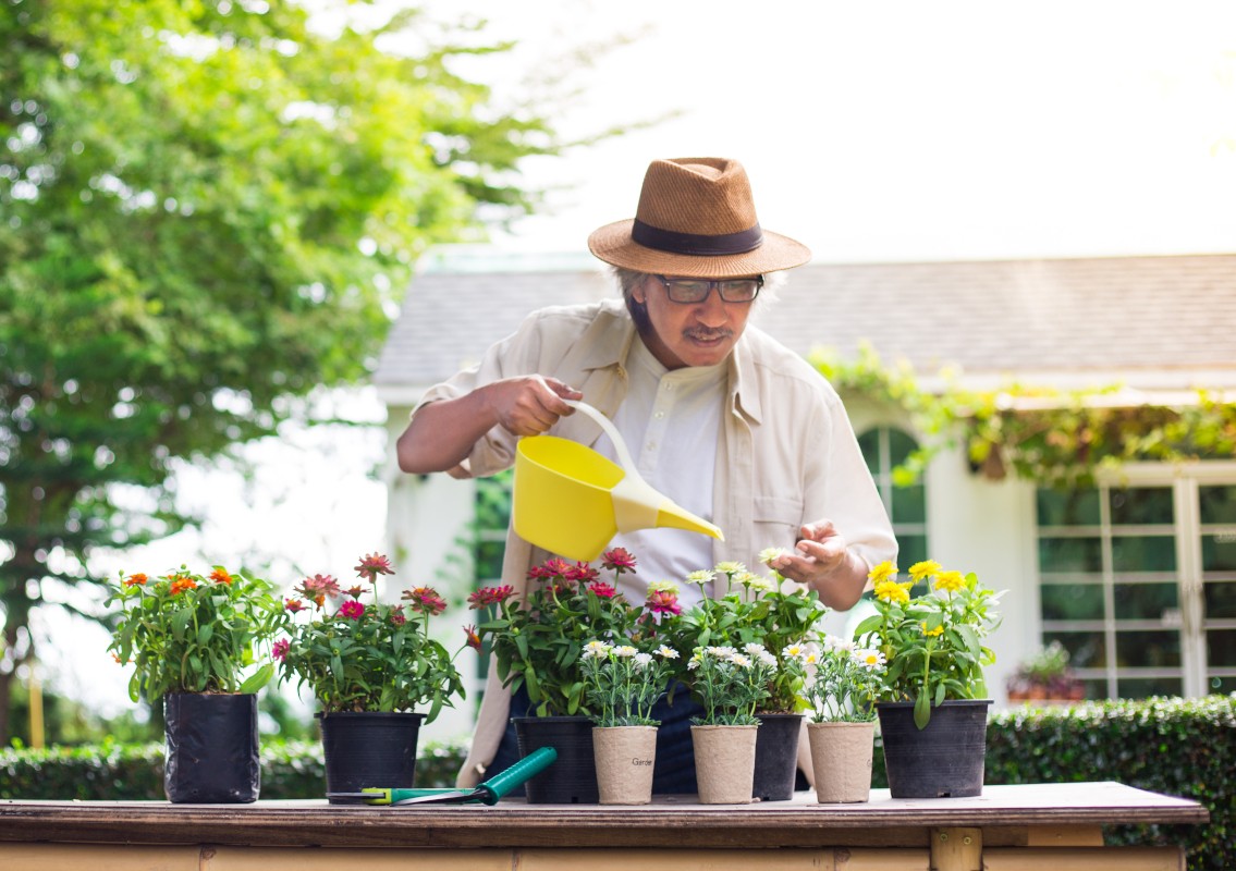 THREE HOBBIES YOU CAN TAKE UP TO HELP YOUR MENTAL HEALTH!
