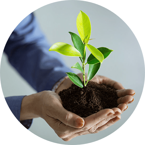 Employee Wellbeing & Assistance Program Thumb