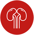 image Icon