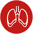 image Icon